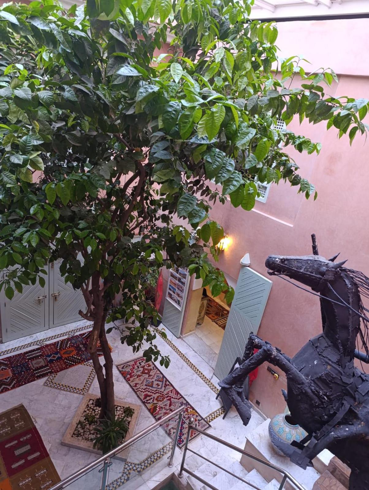 Riad Moullaoud Marakeş Dış mekan fotoğraf